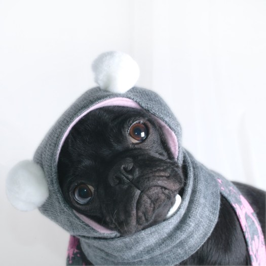 il_fullxfull47936559