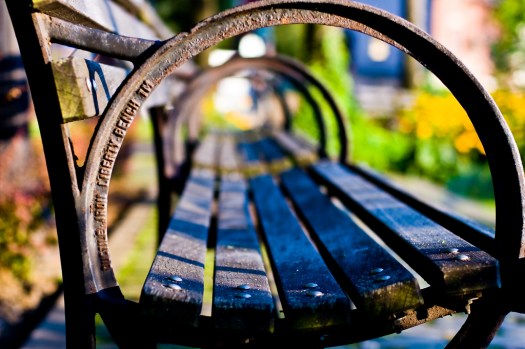 3801766791_bbf972790e_b